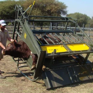 Cattle Tilt Clamp