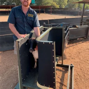 Sheep Clamp and Ramp COMBO