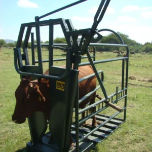 Vet clamp (Cattle)
